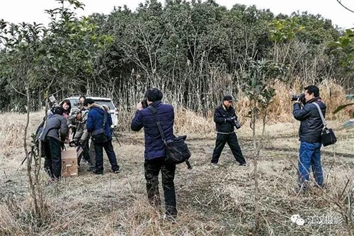 球王会,湖南野生动物追踪,湖南卫星追踪器,湖南追踪器