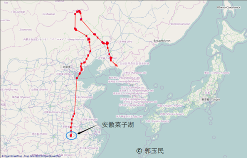 球王会,湖南野生动物追踪,湖南卫星追踪器,湖南追踪器