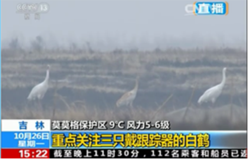 球王会,湖南野生动物追踪,湖南卫星追踪器,湖南追踪器