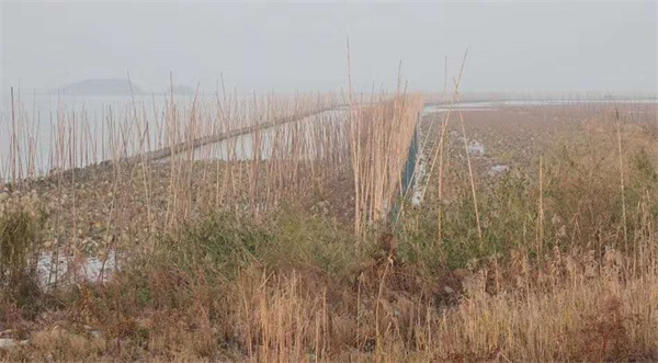 球王会,湖南野生动物追踪,湖南卫星追踪器,湖南追踪器