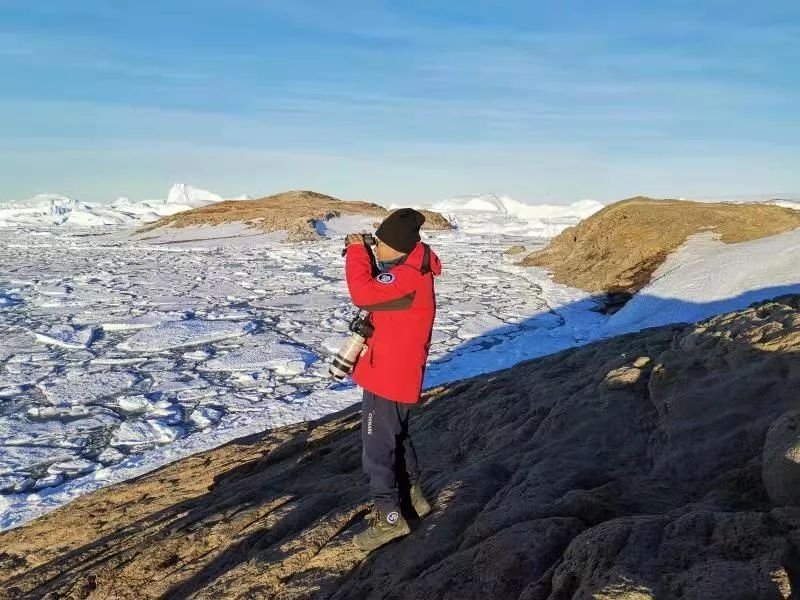 球王会,湖南野生动物追踪,湖南卫星追踪器,湖南追踪器