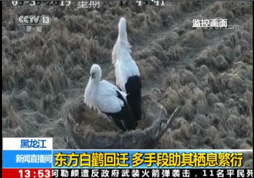 球王会,湖南野生动物追踪,湖南卫星追踪器,湖南追踪器