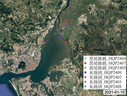 球王会,湖南野生动物追踪,湖南卫星追踪器,湖南追踪器