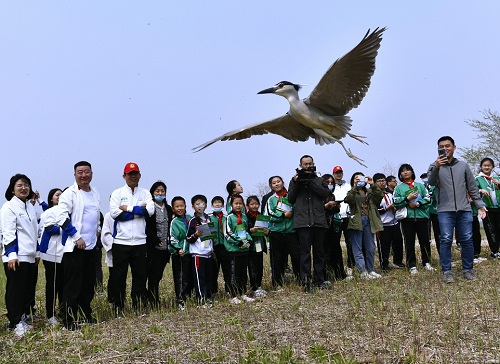 球王会,湖南野生动物追踪,湖南卫星追踪器,湖南追踪器