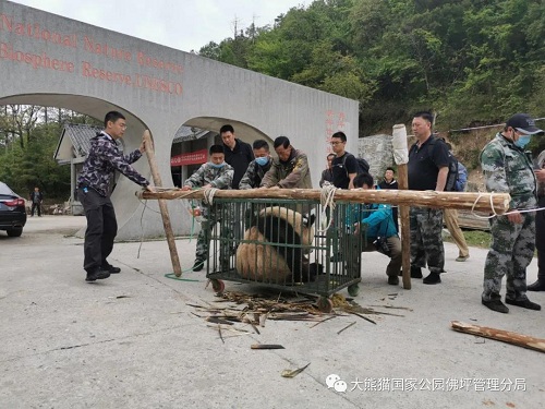 球王会,湖南野生动物追踪,湖南卫星追踪器,湖南追踪器