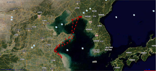 球王会,湖南野生动物追踪,湖南卫星追踪器,湖南追踪器