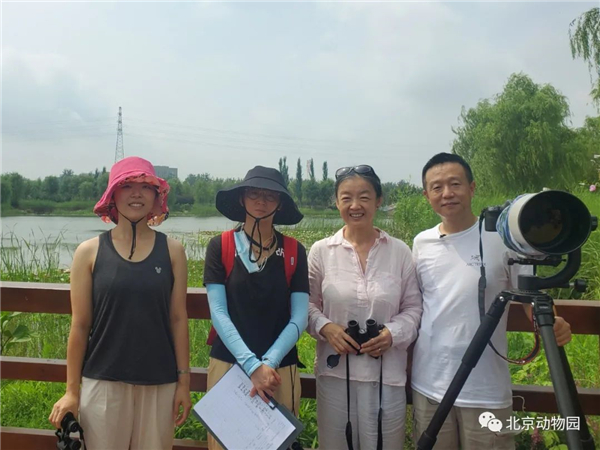 球王会,湖南野生动物追踪,湖南卫星追踪器,湖南追踪器