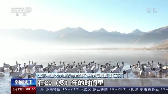 球王会,湖南野生动物追踪,湖南卫星追踪器,湖南追踪器