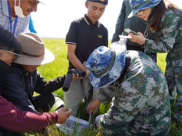 球王会,湖南野生动物追踪,湖南卫星追踪器,湖南追踪器