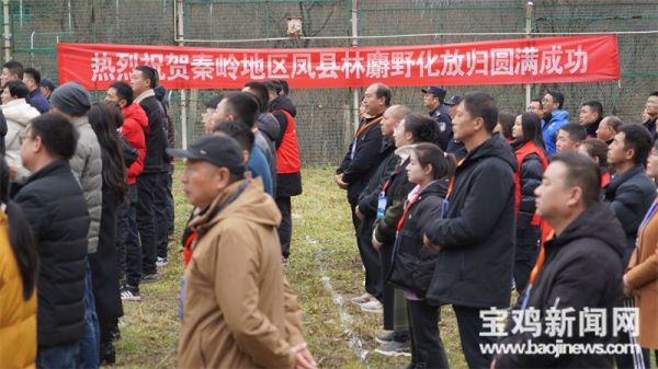 球王会,湖南野生动物追踪,湖南卫星追踪器,湖南追踪器