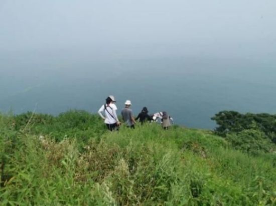 球王会,湖南野生动物追踪,湖南卫星追踪器,湖南追踪器