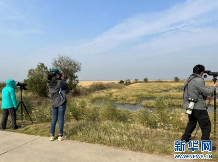 球王会,湖南野生动物追踪,湖南卫星追踪器,湖南追踪器