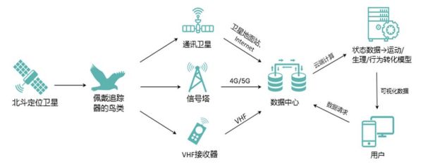 球王会,湖南野生动物追踪,湖南卫星追踪器,湖南追踪器